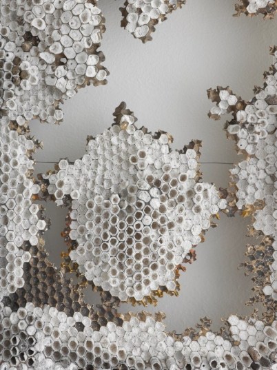 dfc1b891068e8d22f60f7f827e8ec77d